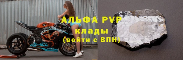 PSILOCYBIN Горняк
